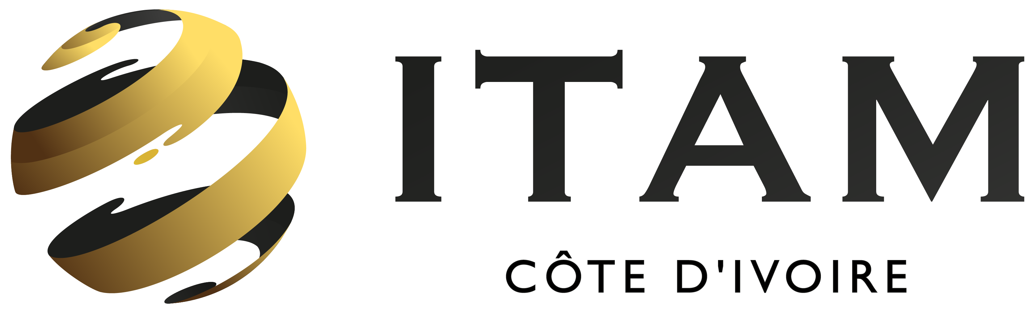 ITAM Ivory Coast